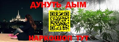 скорость Пугачёв