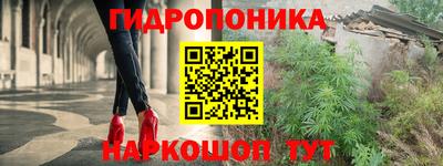 скорость Пугачёв