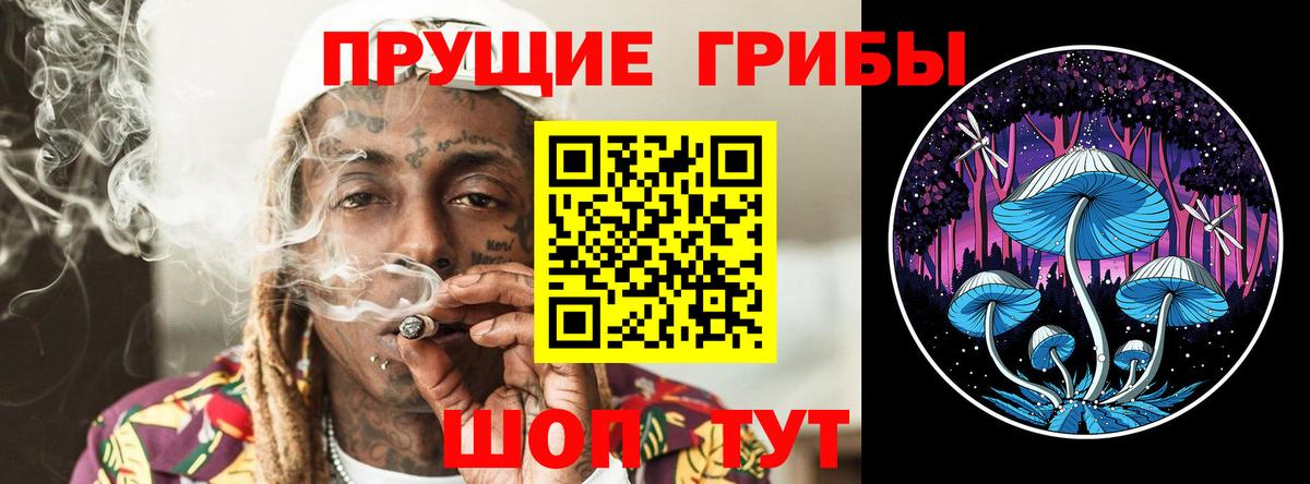 Саранск  Галлюциногенные грибы MAGIC MUSHROOMS  Вход с VPN  Галлюциногенные грибы мицелий 